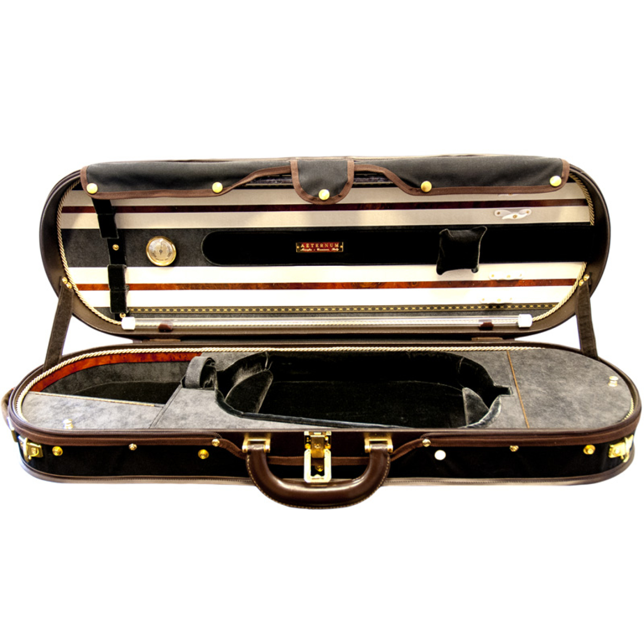 Musafia Aeternum, Violine, elliptische Form