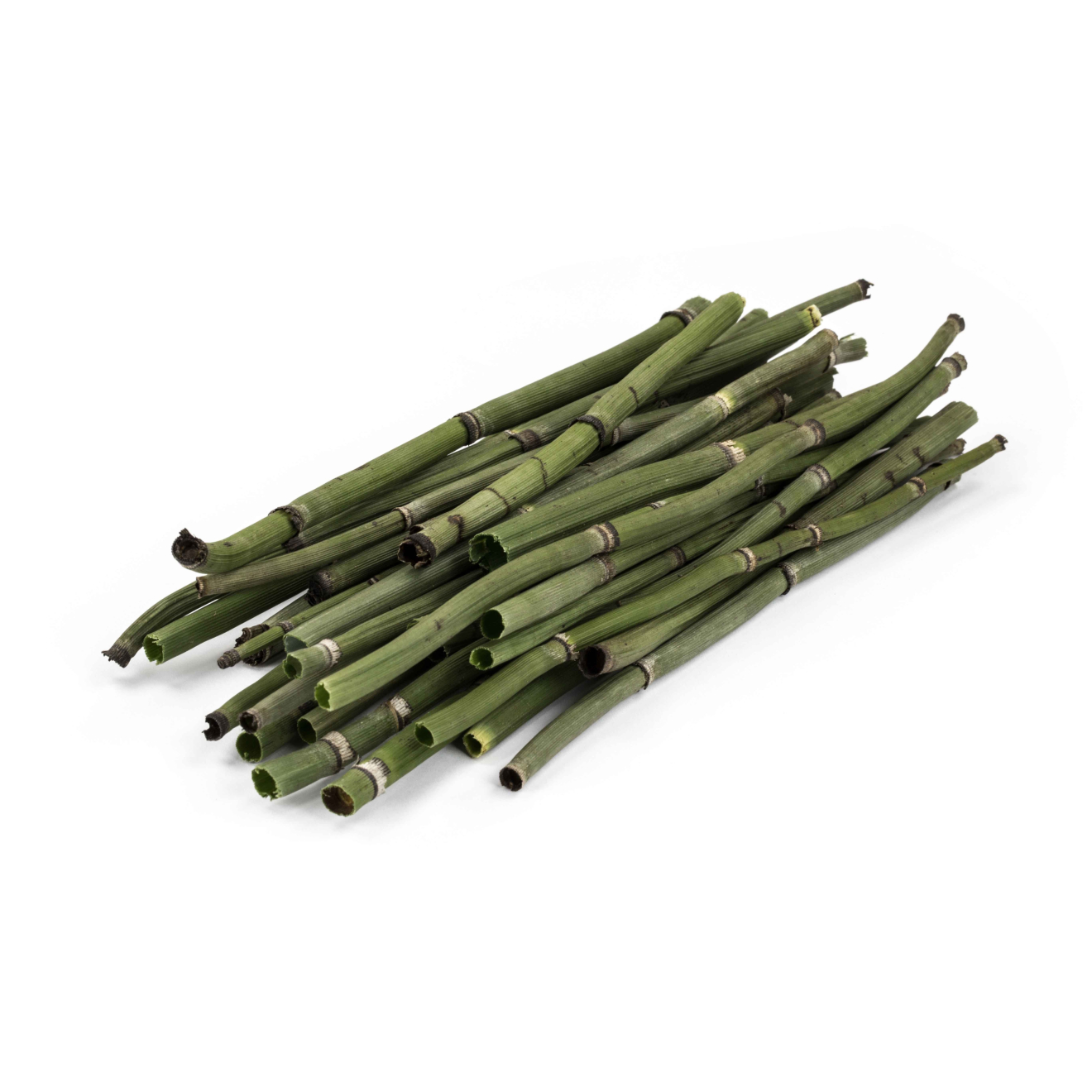 Kremer Scouring Rush, whole, bundle