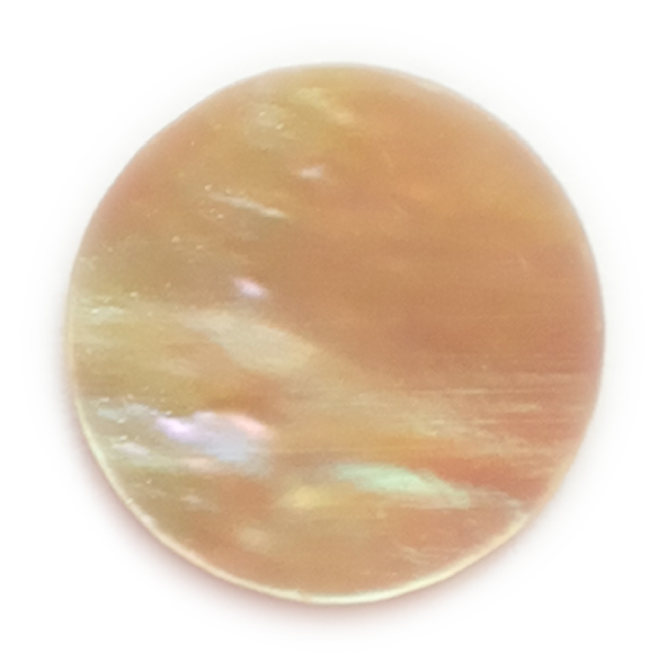 Paulus eyes goldfish 10 pcs.