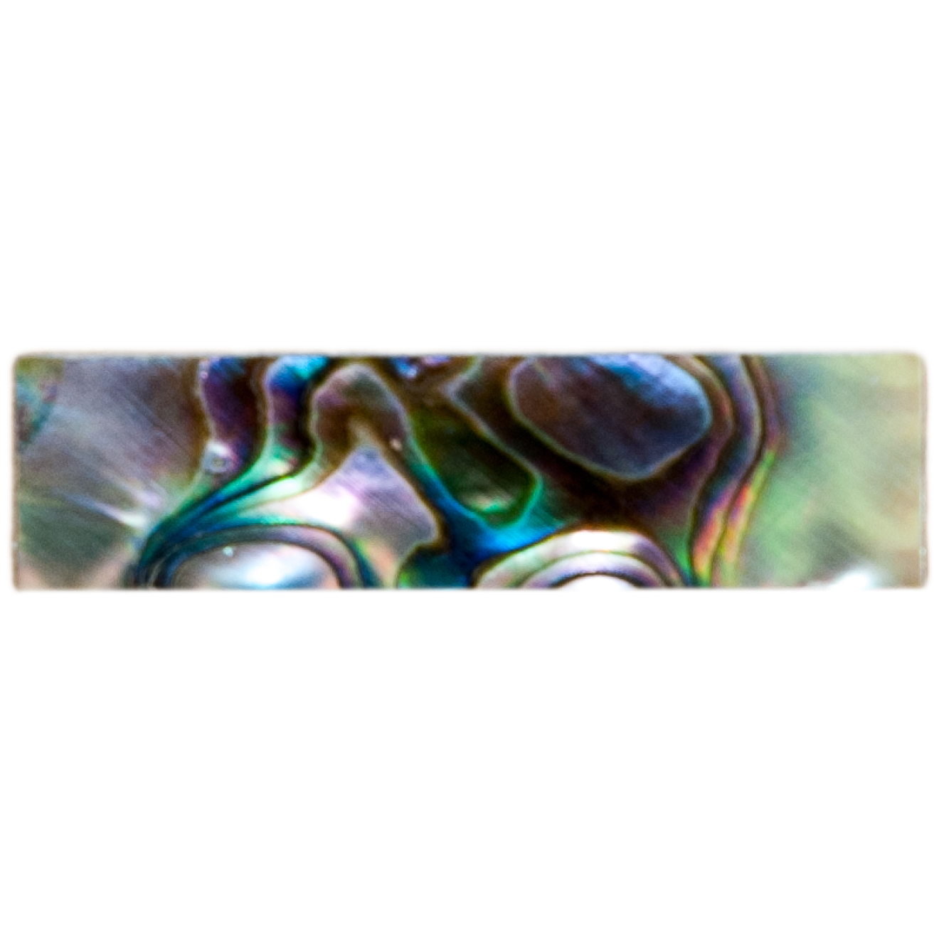 Paulus bass iris bowslide, raw