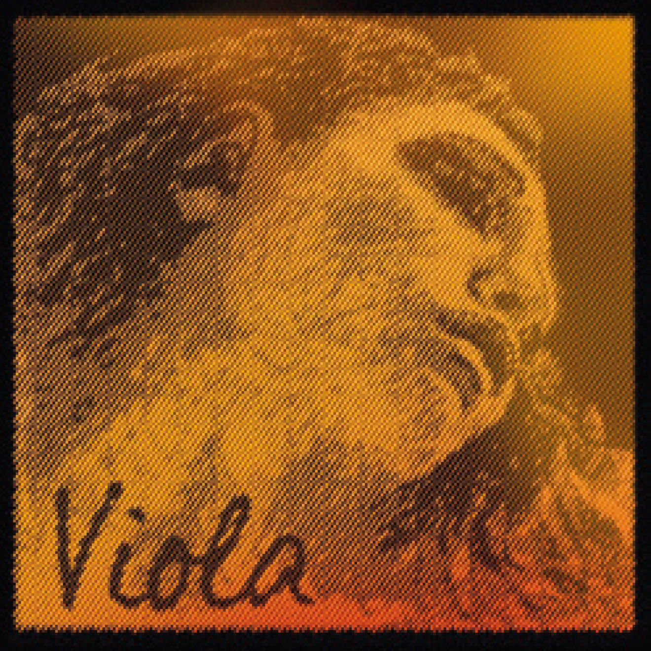 Pirastro Evah Pirazzi Gold Viola SATZ