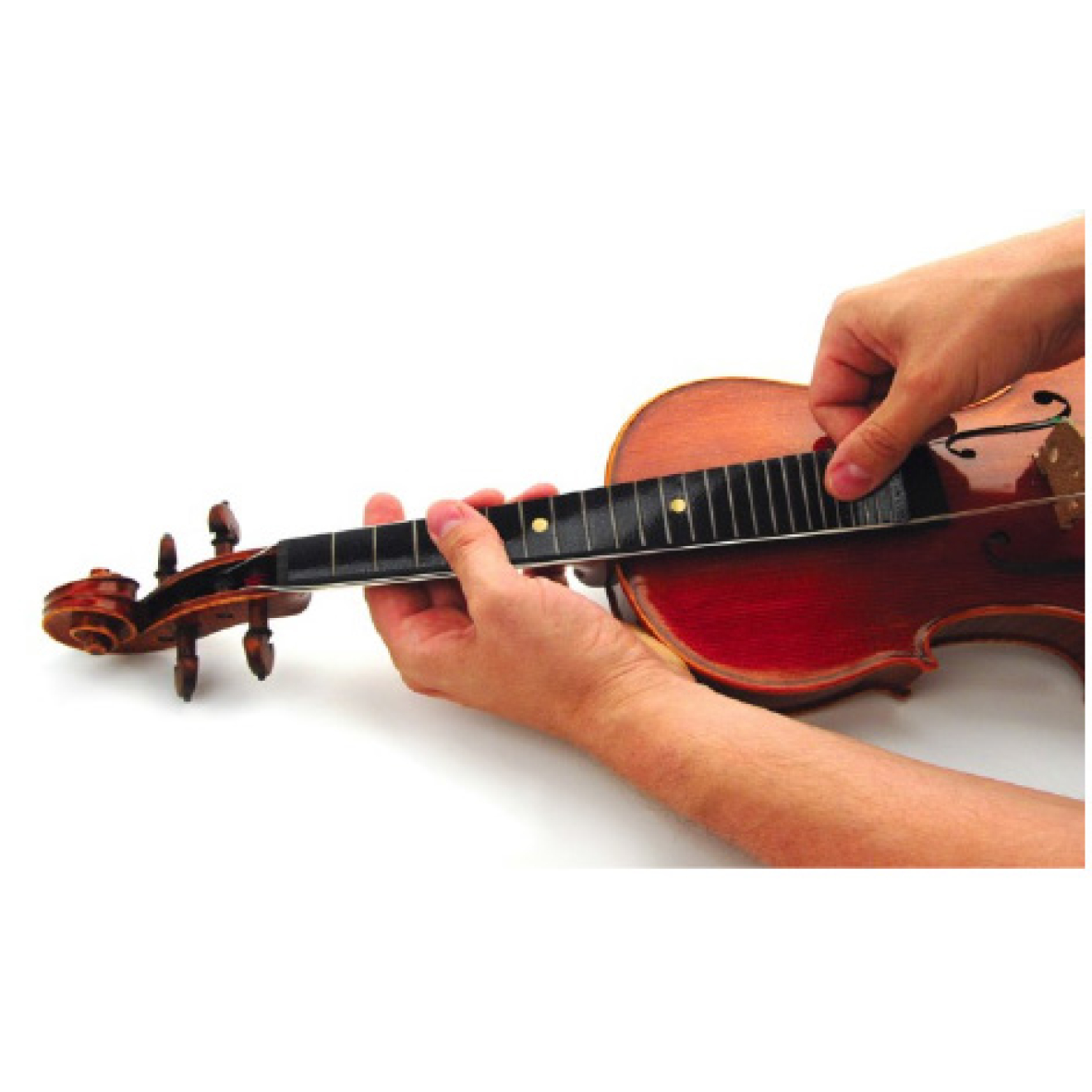 Abverkauf - D`Addario Tactile Fingerboard Appliqué , Tasthilfe