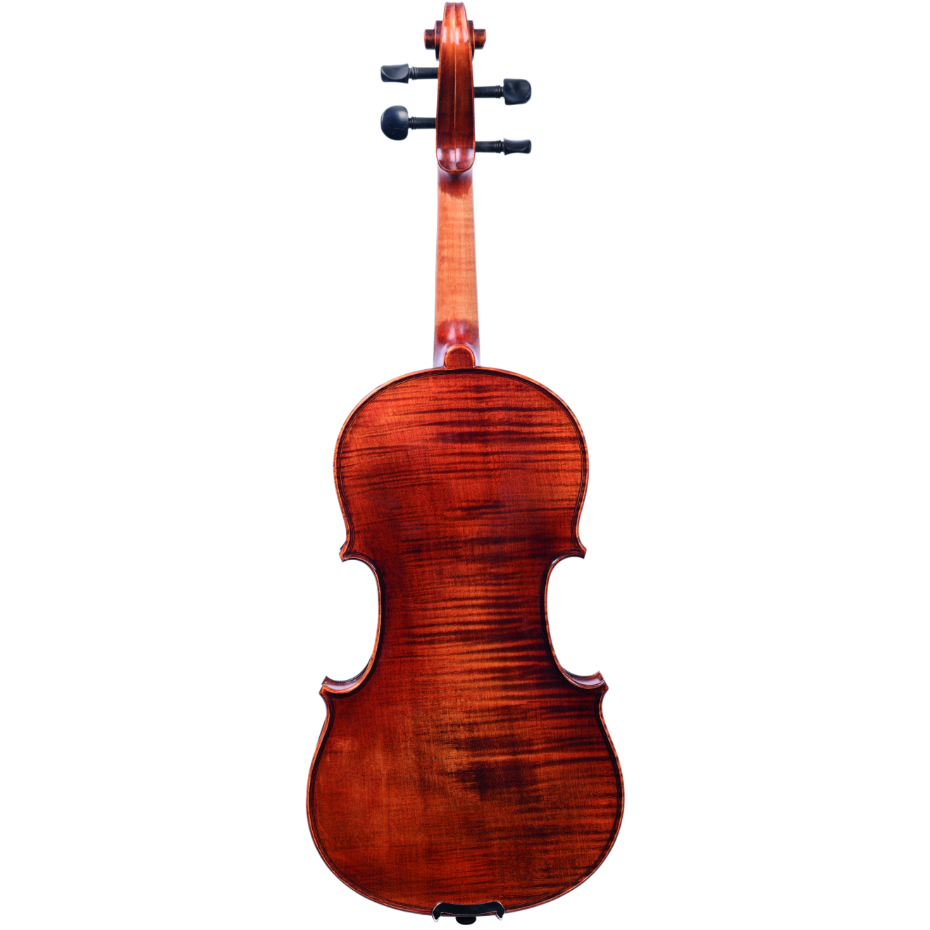 Petz Violine HN100