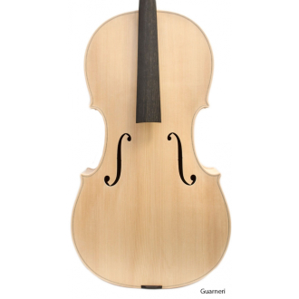 Europäisches Cello, weiß