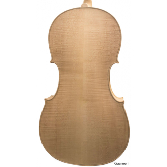 Europäisches Cello, weiß