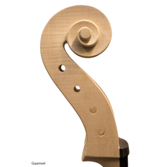 Europäisches Cello, weiß