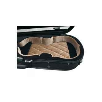 Petz violin case, violin shape