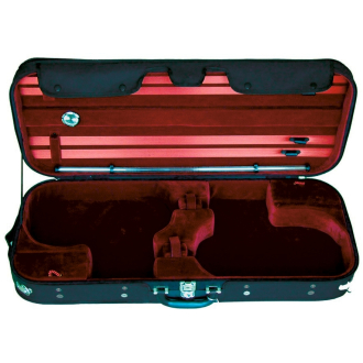 Petz case for 2 violins