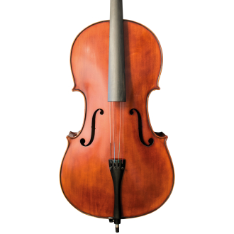 Petz Cello G60VC - nicht spielfertig