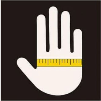 Glove sizes and hand measurements (around the hand)